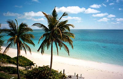 Encuentra las últimas ofertas con AFerry