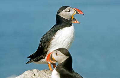 Encuentra las mejores tarifas reservadas recientemente