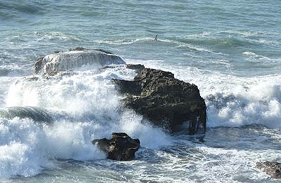 Encuentra las últimas ofertas con AFerry