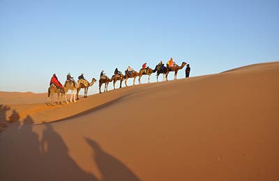 Encuentra las mejores tarifas en AFerry