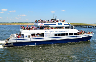 Tendrás una travesía agradable con Boston Harbour Cruises