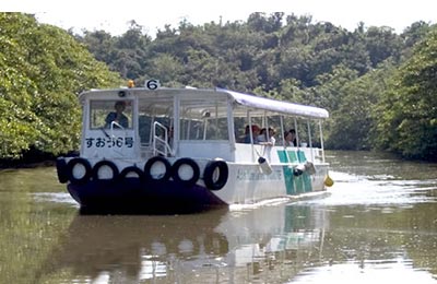 Tendrás una travesía agradable con Ishigaki Dream Tours